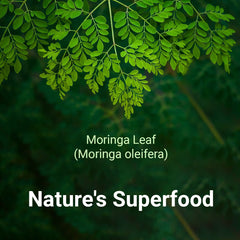 MORINGA LEAF POWDER - 200G